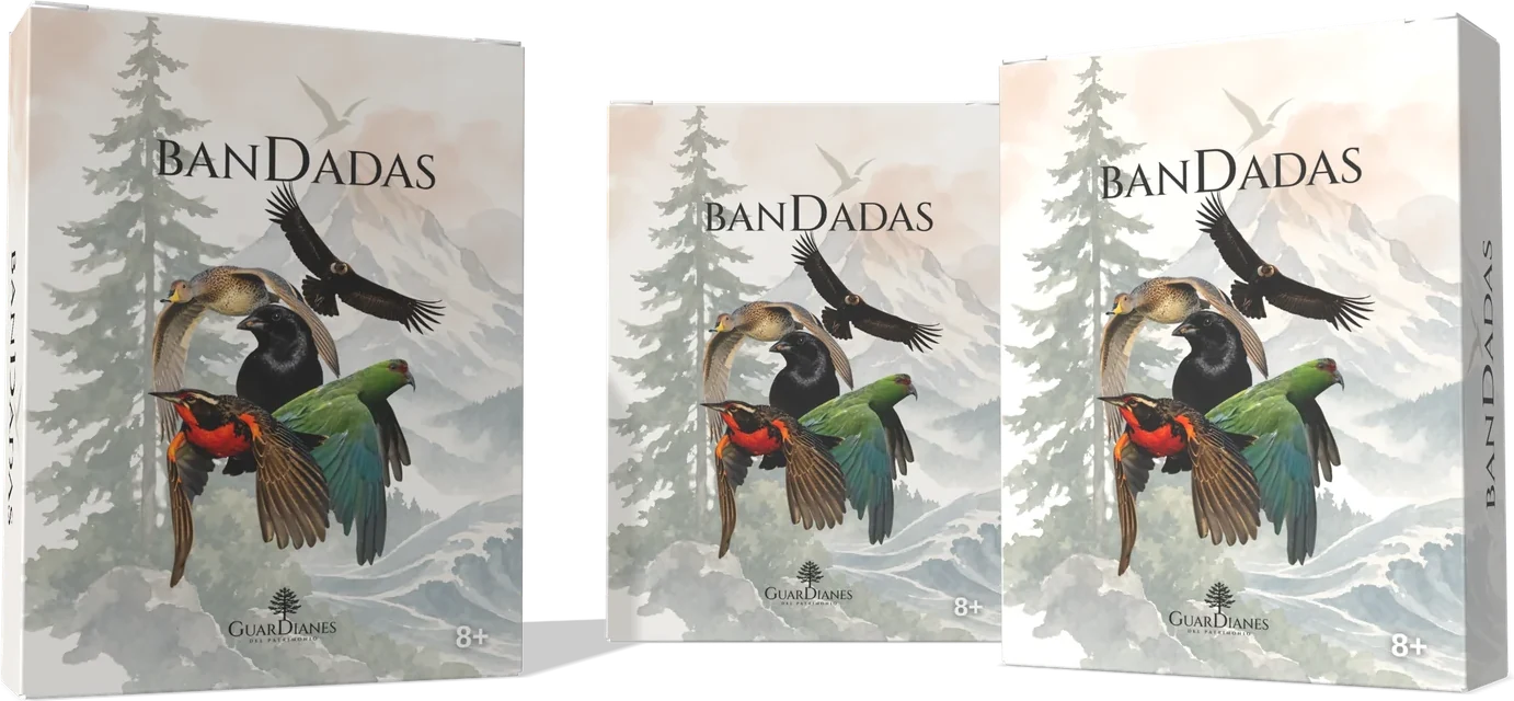 Cajas ¡Bandadas!