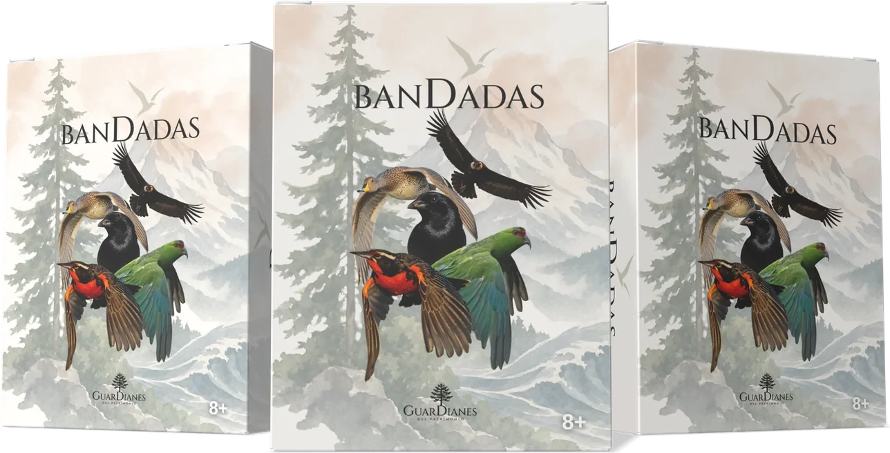 Cajas del juego ¡Bandadas!