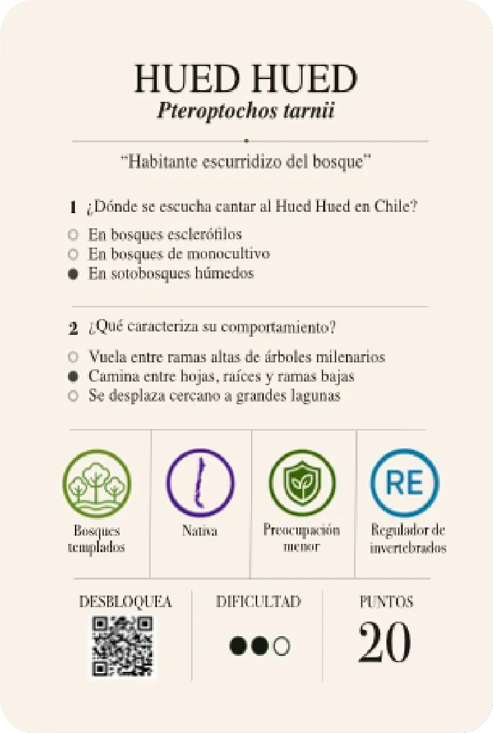 Reverso con trivia del Hued Hued